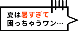 夏は暑すぎて困っちゃうワン・・・